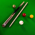 PRO147 TIGER 2 Piece Snooker and Pool Cue and Case Set with 9.5mm Leather Tip
