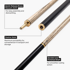 Baize Master Blackline Classic cue and case set