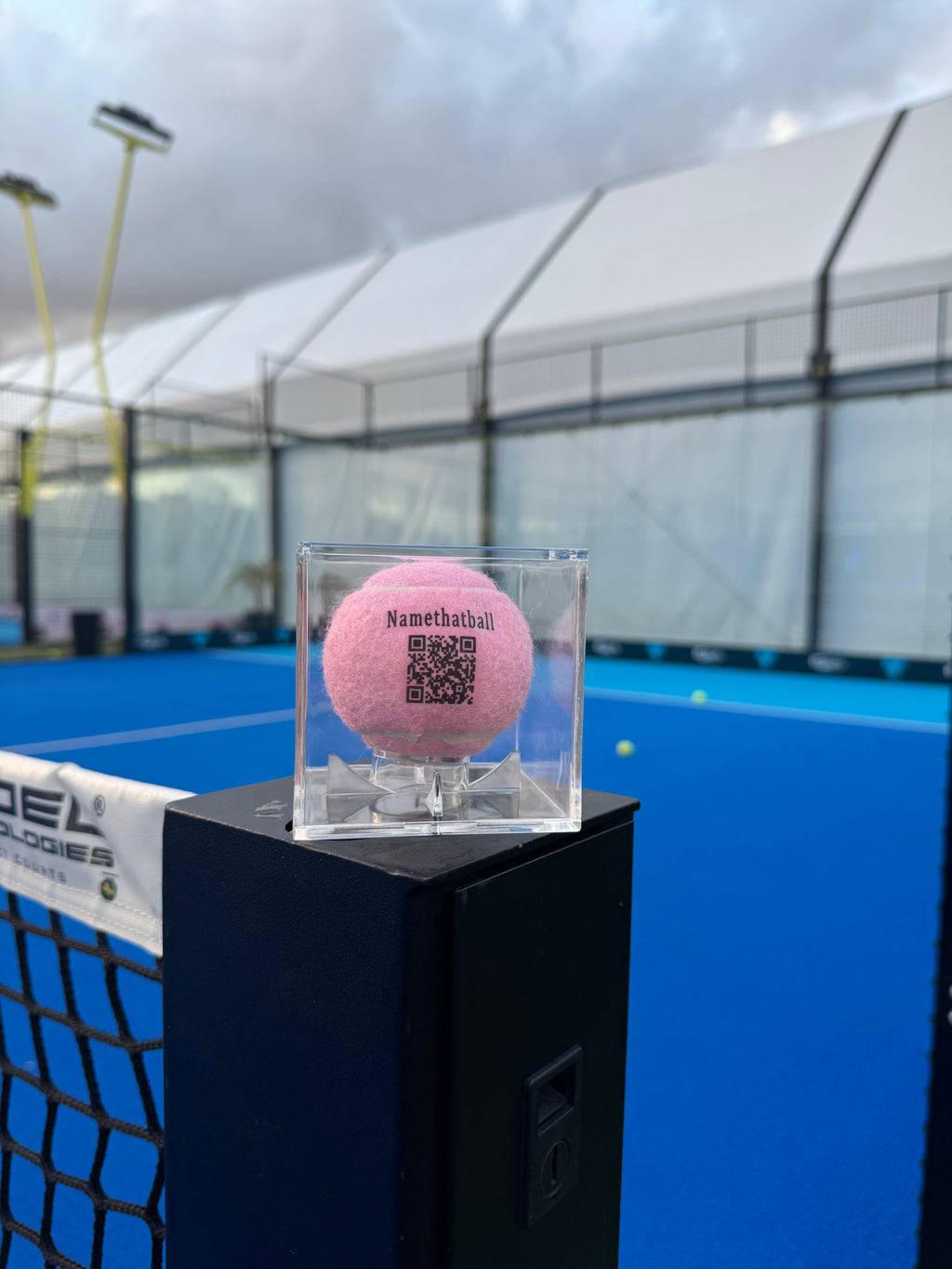 Namethatball - Custom tennis ball in trophy case